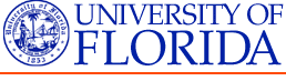 University florida